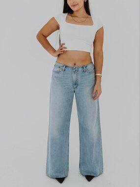 NWT AGOLDE THE LEX WIDE LEG LOW WAIST LIGHT WASH JEANS - 31